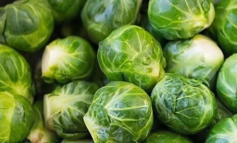 May be an image of food