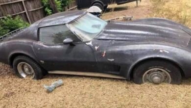 May be an image of car and text